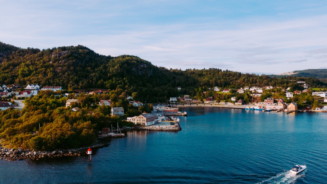 Stavanger Norveç kıyı ve liman manzarası